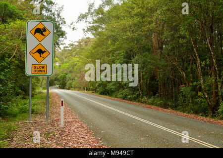 Slow Down traffic sign along the road in Australia, with images of koala and kangaroo. Stock Photo