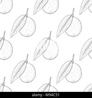 Lime fruits. Hand drawn sketch as seamless pattern Stock Vector