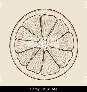 Orange slice. Hand drawn sketch on beige background Stock Vector