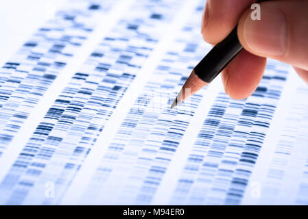 Scientist analyzes DNA gel used in genetics, forensics, drug discovery, biology and medicine. Stock Photo