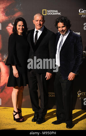 Malaga, Malaga, Spain. 22nd Mar, 2018. Spanish actor and director Antonio Banderas poses with director Ken Biller and CEO of National Geographic Global Networks Courteney Monroe during a photocall before the world promotional premiere at the Cervantes theatre.The city of Malaga welcomes the premiere of the second season of National Geographic's anthology series ''˜Genius', about Spanish artist Pablo Picasso life and works interpreted by the actor Antonio Banderas. On the long awaited promotional premiere participated the actor Antonio Banderas, director Ken Biller and all main cast member Stock Photo