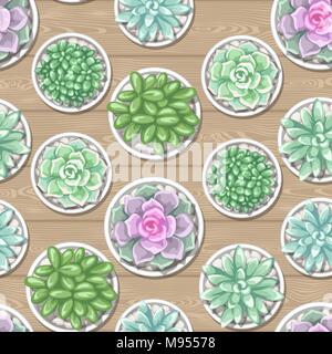 Seamless pattern with succulents. Echeveria, Jade Plant and Donkey Tails Stock Vector