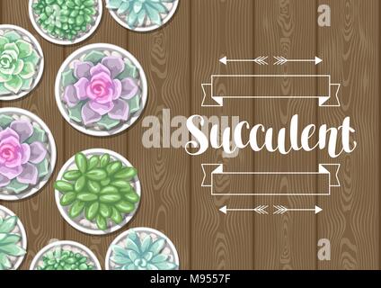 Card with succulents in pots. Echeveria, Jade Plant and Donkey Tails Stock Vector