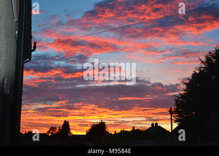 'redskies' 'flock of wild geese' 'dusk settling in over Falkirk Scotland' 'Falkirk' 'Scotland'. Stock Photo