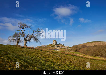 View of Corfe Castle from surrounding countryside, Corfe, Dorset, England, United Kingdom, UK Stock Photo