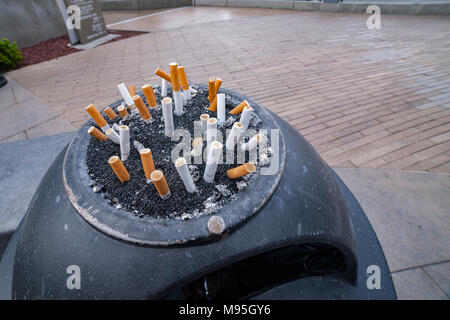 Cigarette butts stubbed out in a trash can outside of a hotel, Las Vegas, U.S.A. Stock Photo