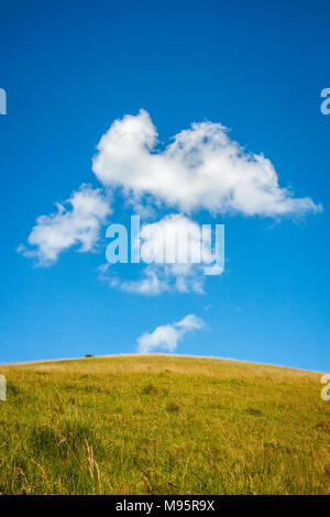 Wispy pyrocumulus clouds arising from a small fire on a hillside in Berkshire UK Stock Photo