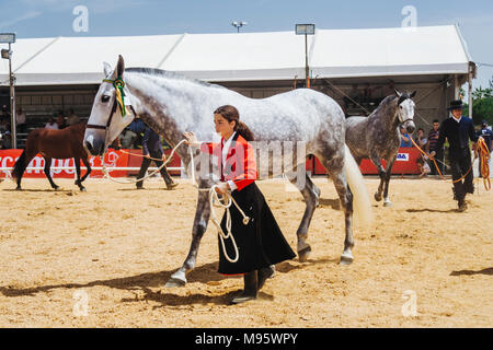 Cordoba, Andalusia, Spain : Andalusian horsegirl and thoroughbred mare at the Cordoba Horse Fair. Stock Photo