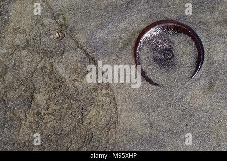 Bottom of a discarded glass bottle in the sand of Bottle Beach, the western shore of Dead Horse Bay, Brooklyn, New York, USA. Stock Photo