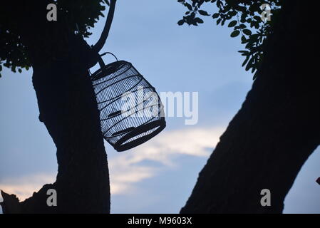 The empty bird cage hang on the tree Stock Photo