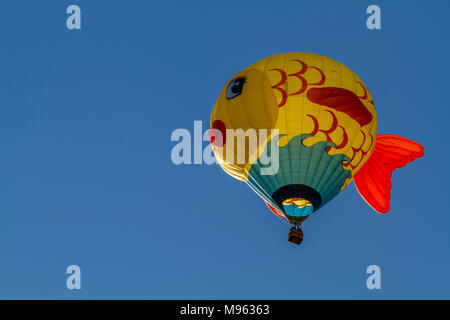 Reno Hot Air Balloon Race Stock Photo