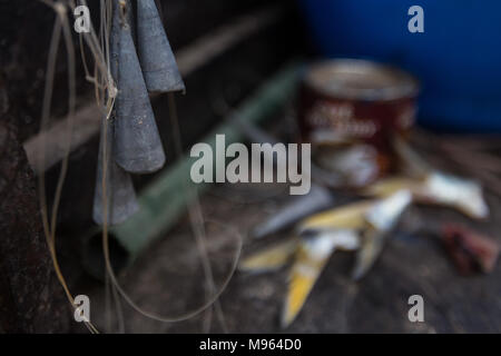 Fishermen and their catch south of Denton Bridge, in the Tanbi Wetland Complex. Stock Photo