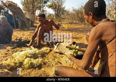 Ju/'Hoansi or San bushmen in daily activities making ropes for their bows from natural fibers of plants found in the bush, Grashoek, Namibia Stock Photo