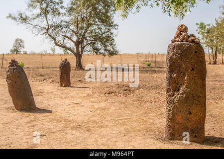 The Wassu Stone Circles (or megaliths), north of Janjanbureh,  is made up of 11 stone circles. The tallest stone is found in this area, with a height of 2.59 meters. Stock Photo