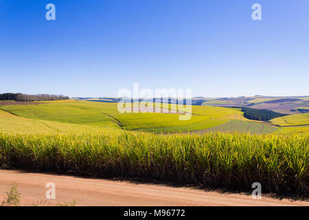 Valley of a Thousand hills landscape. Green hills panorama. South African landmark near Durban. Stock Photo