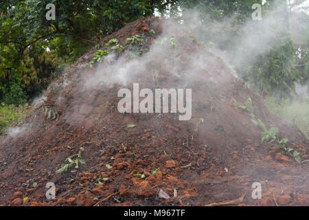 Charcoal making fire mound in Zanzibar Stock Photo