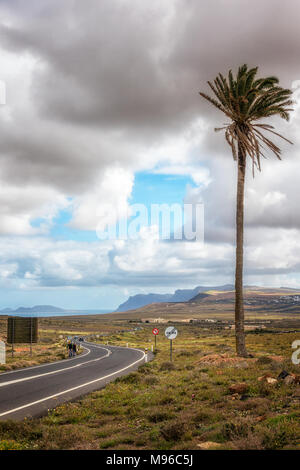 Vertical photograph views looking north towards the cliffs at Mirador del Rio with single palm tree & two cyclists heading south on LZ-10, Lanzarote Stock Photo