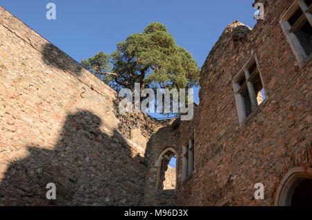 Auerbacher Schloss im Winter, Bensheim-Auerbach, Bergstrasse, Odenwald, Hessen, Deutschland Stock Photo