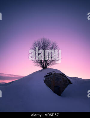 Scenic landscape with lonely tree against purple sky at winter evening in Helsinki, Finland Stock Photo