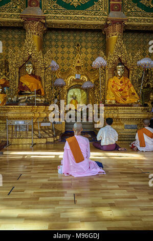 The Shwedagon Pagoda officially named Shwedagon Zedi Daw and also known as the Great Dagon Pagoda , is a gilded stupa located in Yangon Myanmar Stock Photo