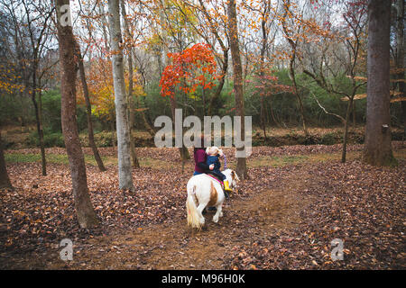 Girl being guided through woods on horseback Stock Photo
