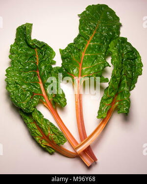 Yellow swiss chard, mangold on white background Stock Photo