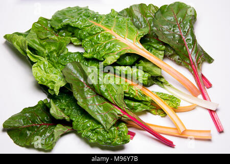 Rainbow swiss chard, mangold beetroot leaves, vegetarian organic healthy food Stock Photo