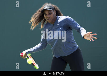 KEY BISCAYNE, FL -MARCH 22: Serena Williams on day 10 of the Miami Open at Crandon Park Tennis Center on March 22, 2018 in Key Biscayne, Florida.    People:  Serena Williams Stock Photo