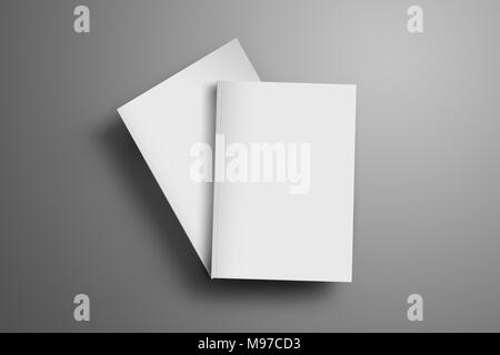 Two blank closed A4, (A5) magazines with soft realistic shadows isolated on gray background. One of the brochures lies at an angle of the second broch Stock Photo