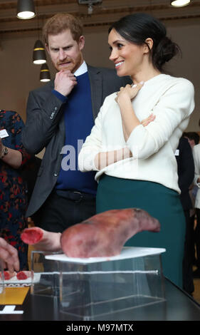 Prince Harry and Meghan Markle look at some prosthetic limbs made by the Titanic FX company during a visit to Catalyst Inc science park in Belfast where they met some of Northern Ireland's brightest young entrepreneurs. Stock Photo