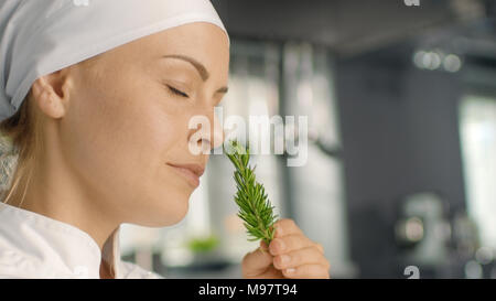 Beautiful Young Female Chef Smells Decorative Spice Plant. Stock Photo