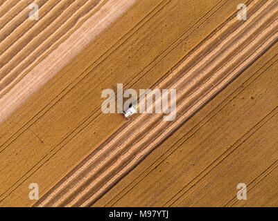 Combine harvester on a field of wheat, aerial view. Stock Photo