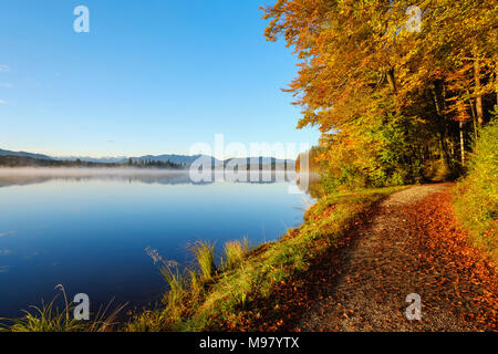 Herbstmorgen am Kirchsee, bei Sachsenkam, Tölzer Land, Alpenvorland, Oberbayern, Bayern, Deutschland Stock Photo