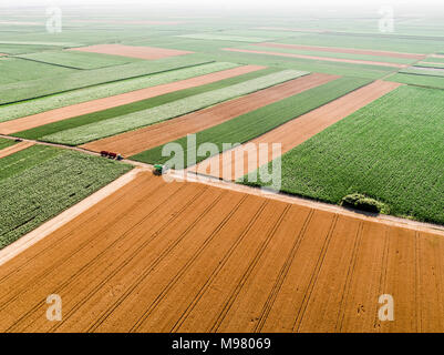 Serbia, Vojvodina, agricultural fields, aerial view at summer season Stock Photo