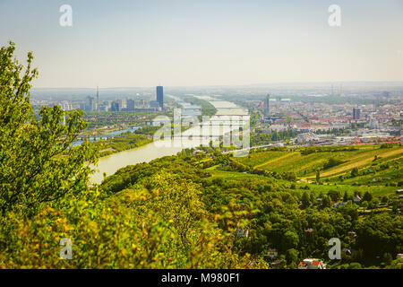 Blick auf Wien und Donau vom Leopoldsberg, Wien, Österreich Stock Photo