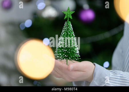 Junge, Kind hält einen kleinen Tannenbaum mit Lichterketten vor dem Christbaum, Weihnachten,  Bayern, Deutschland