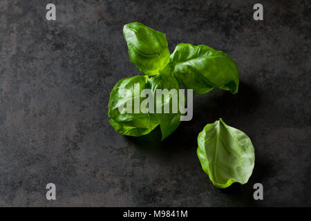 Basil leaves on dark metal Stock Photo