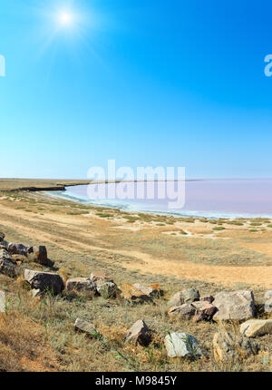 Sunshiny pink extremely salty Syvash Lake, colored by microalgae. Also known as the Putrid Sea or Rotten Sea. Ukraine, Kherson Region, near Crimea and Stock Photo