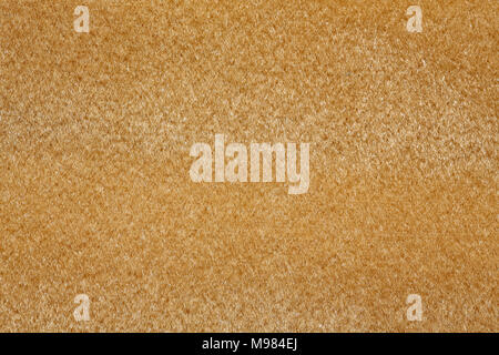 Masterly material texture in light yellow colour. Stock Photo