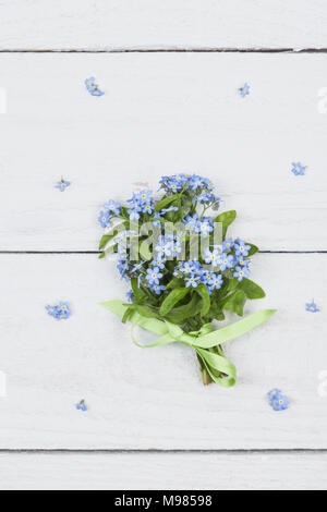 Bunch of Forget-me-not on white ground Stock Photo