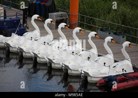 Swan pedalo Stock Photo: 74619695 - Alamy