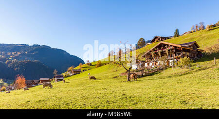 Schweiz, Kanton Bern, Berner Oberland, Grindelwald, Ferienort, Bauernhof, Bauernhaus, Kühe auf der Weide