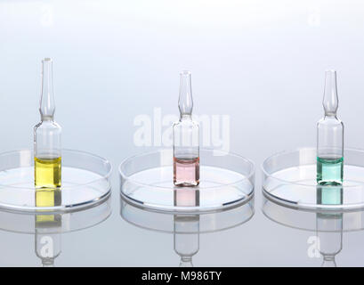 Ampullae in petri dishes Stock Photo