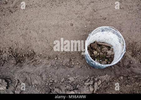 Old bucket covered in paint in the garden between rows with stones and weeds in it after cleaning ground. Work concept, copy space. Top view. Stock Photo