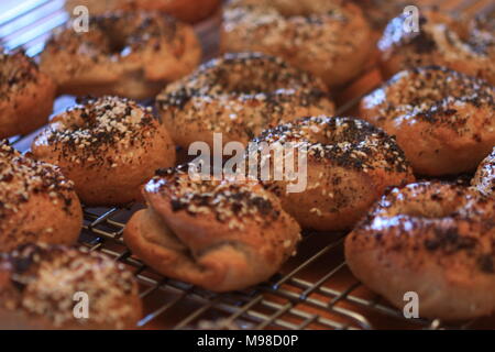 Fresh bagels on a cooling rack Stock Photo