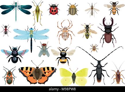 Insect collection, illustration, drawing, vector Stock Vector