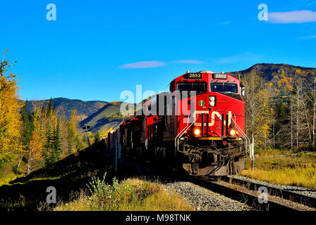 A front view of a Canadian National freight train traveling on train tracks near Brule Alberta Canada. Stock Photo