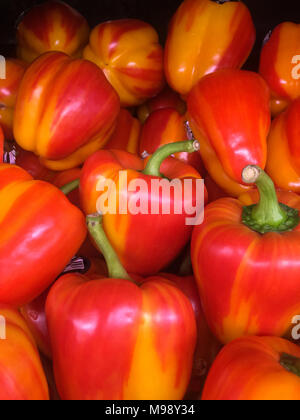 red and yellow striped sweet bell peppers vertical background Stock Photo