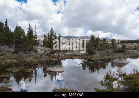 view along the Beartooth Highway in Wyoming showing mirror like reflections in the water. Stock Photo