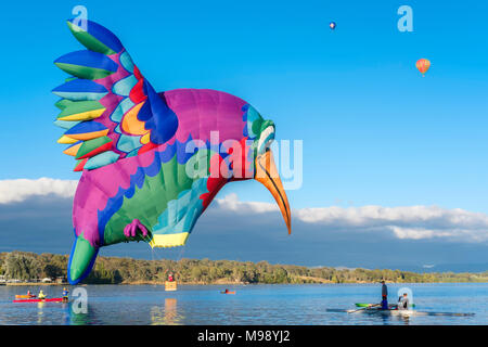 Enlighten Canberra Balloon Festival at Sunrise. Canberra, ACT